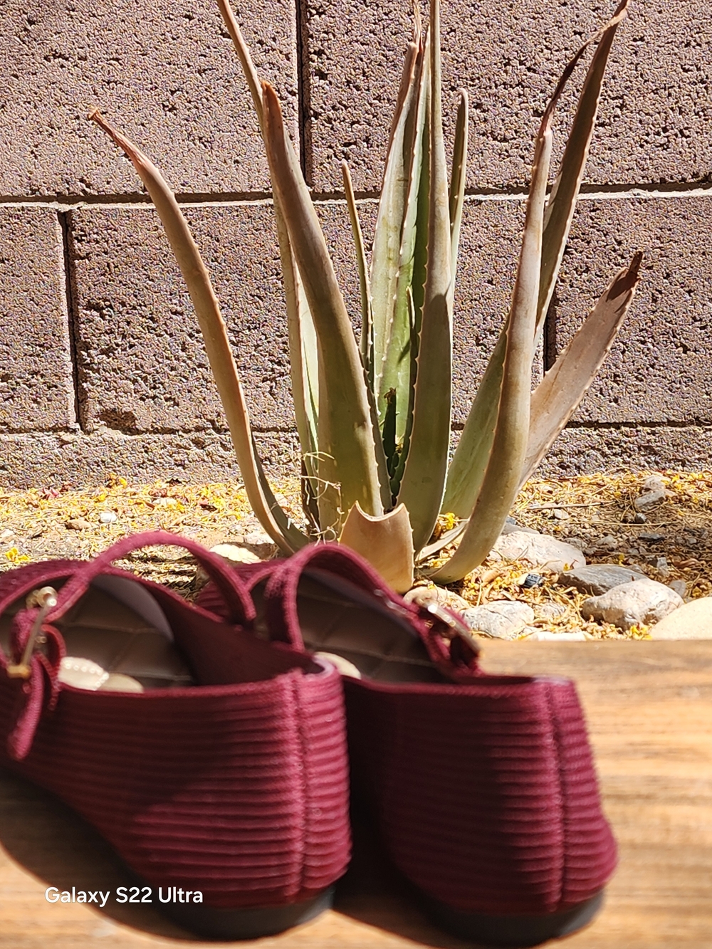 Mia Brita Mary Jane Burgundy Ribbed Knit Flats with Almond Toe Size 6 - Picture 6 of 9